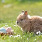 Karfreitags-Osterspaziergang mit Ostereisuche für Kinder