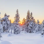 Familien-Winterwanderung