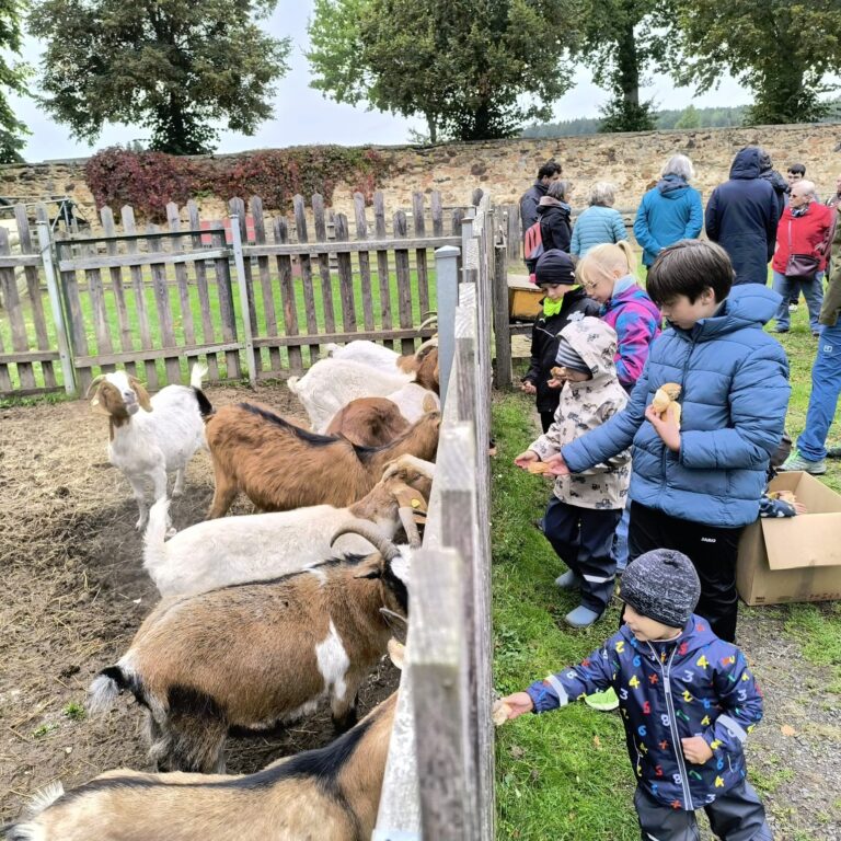 Mehr über den Artikel erfahren Familienaktionstag