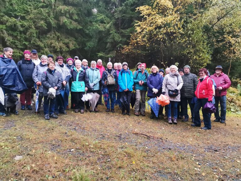 Mehr über den Artikel erfahren Wanderung zum Schloss Sophienreuth