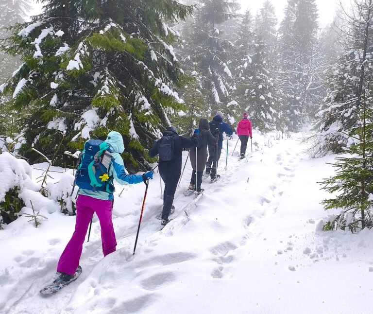 Mehr über den Artikel erfahren Schneeschuhtour im Fichtelgebirge