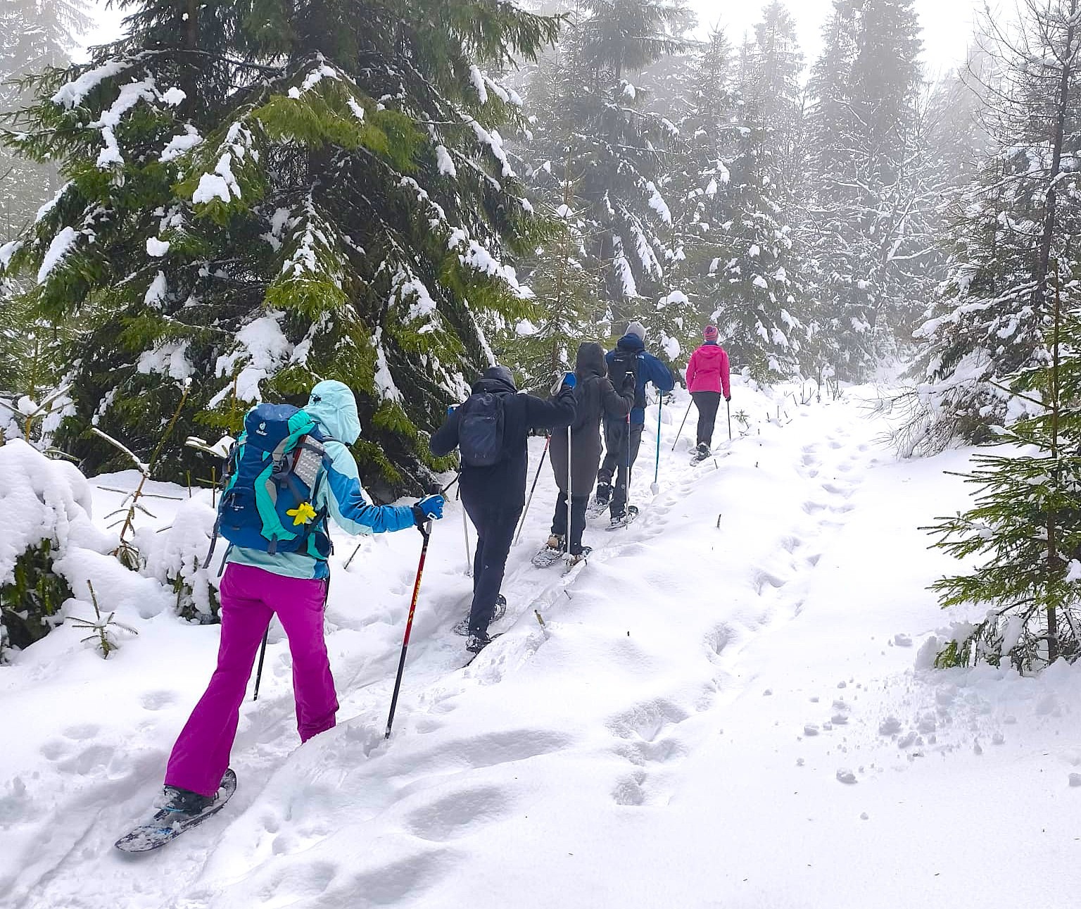 Mehr über den Artikel erfahren Schneeschuhtour im Fichtelgebirge