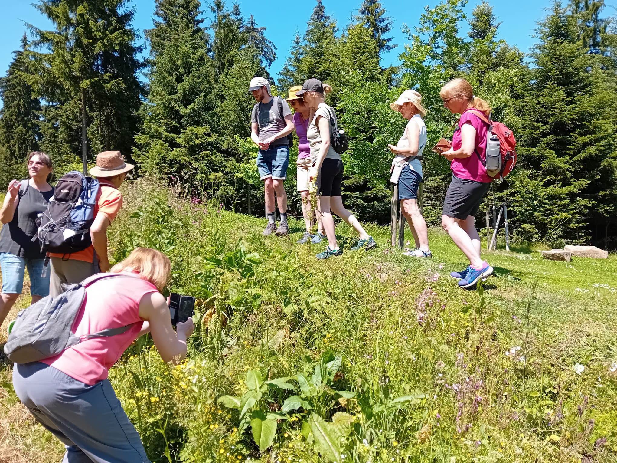 Mehr über den Artikel erfahren Kräuterwanderung